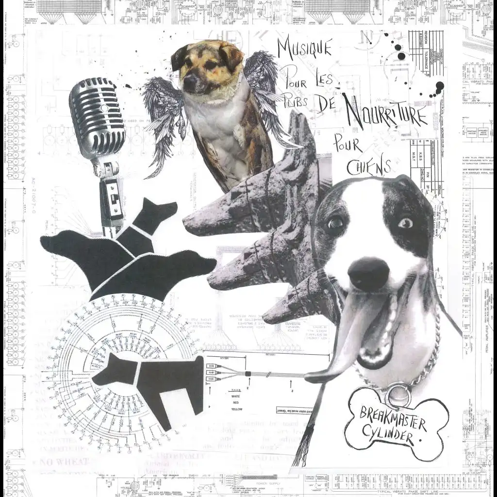 Musique Pour Les Pubs de Nourriture Pour Chiens