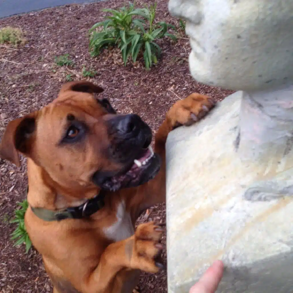 If My Dad Saw He'd Be Mad at Me...