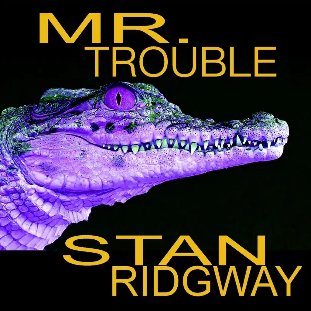 Mr. Trouble