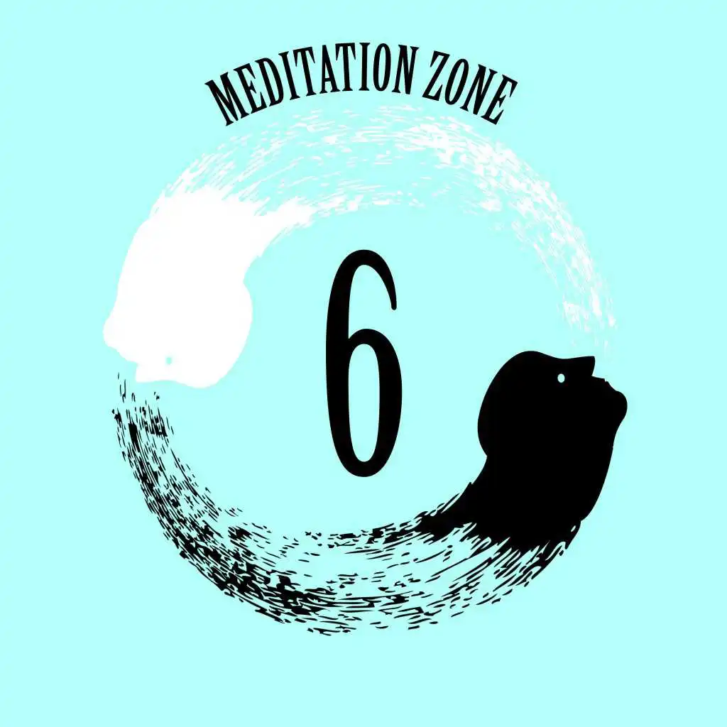 Meditation Zone 6