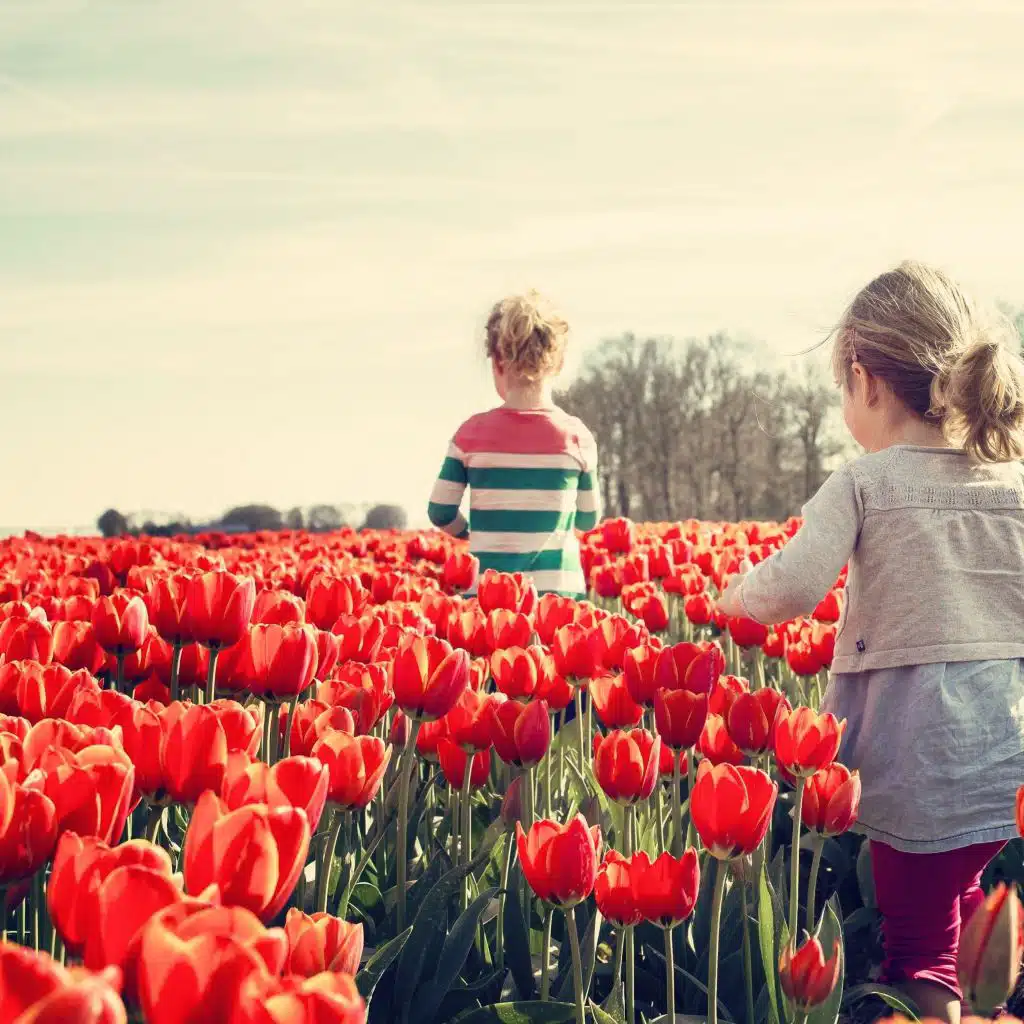 Twinkle Twinkle Little Star