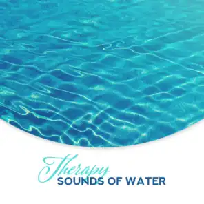 Therapy Sounds of Water: 2019 New Age Many Faces of Water Sounds Like Rain, River, Stream & Many More, Perfect Music for Relaxation, Rest & Calm Down