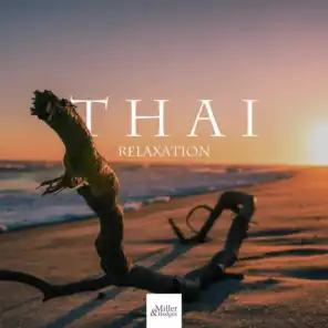 Thai Relaxation: Background Music for Foot Massage, Chinese Massage Music, Reiki Meditation Music