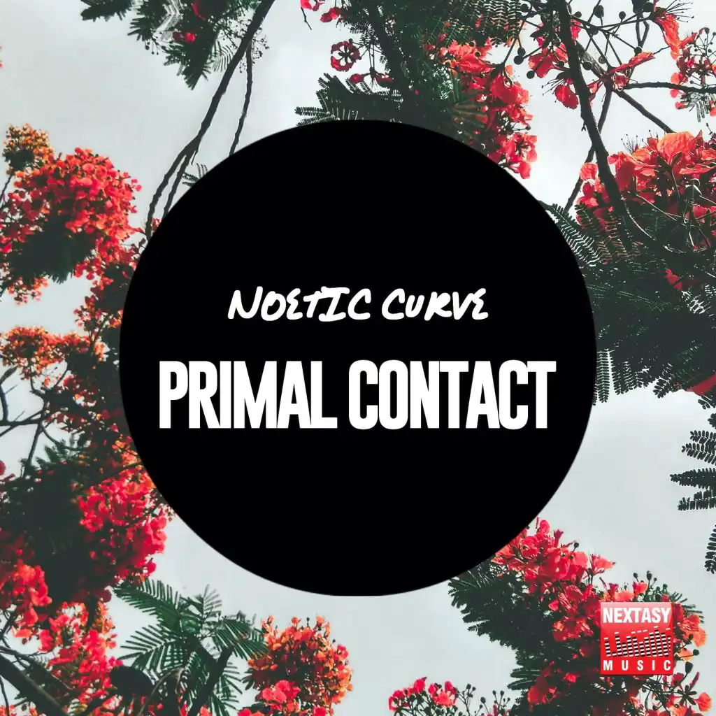 Primal Contact (Ernesto Ortega Remix)