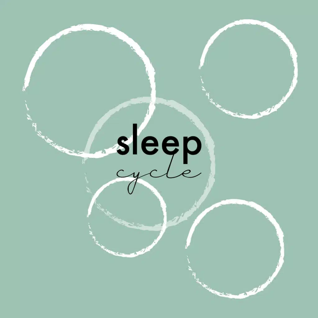 Les Cycles Du Sommeil