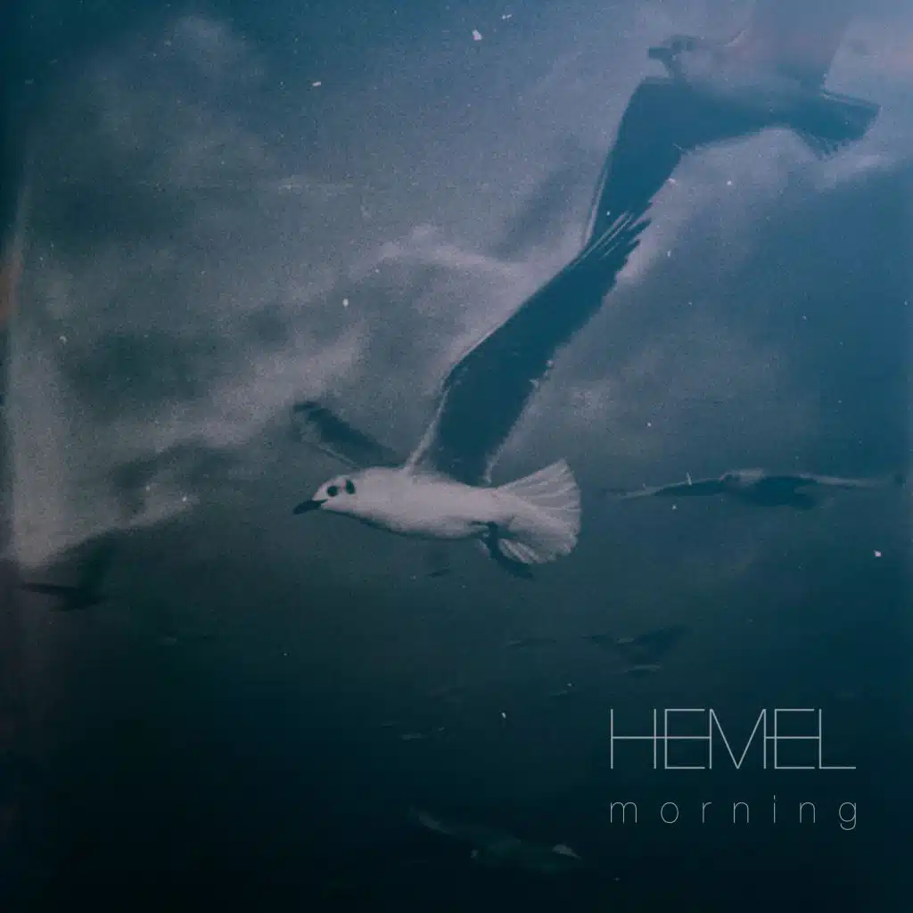 Morning
