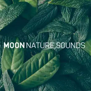 Red Moon (feat. Luna Sonidos de la Naturaleza)