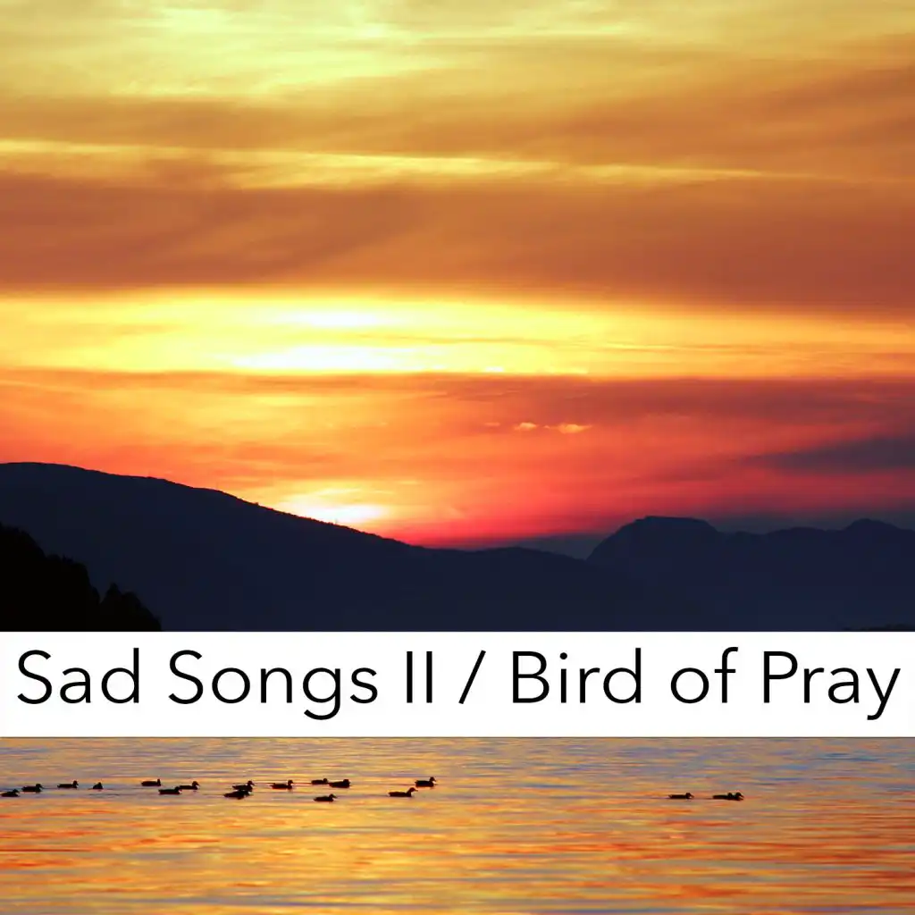 Bird of Pray