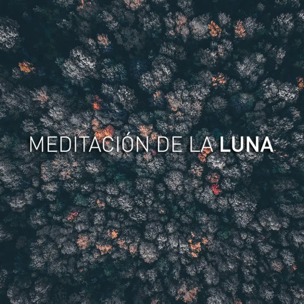 Luna Tunes and Meditación De La Luna
