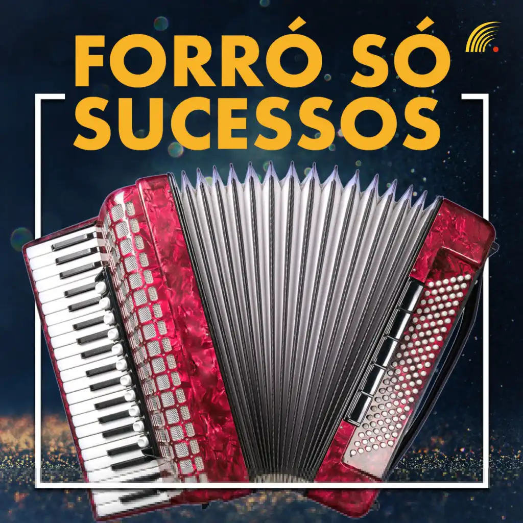 Forró Só Sucessos