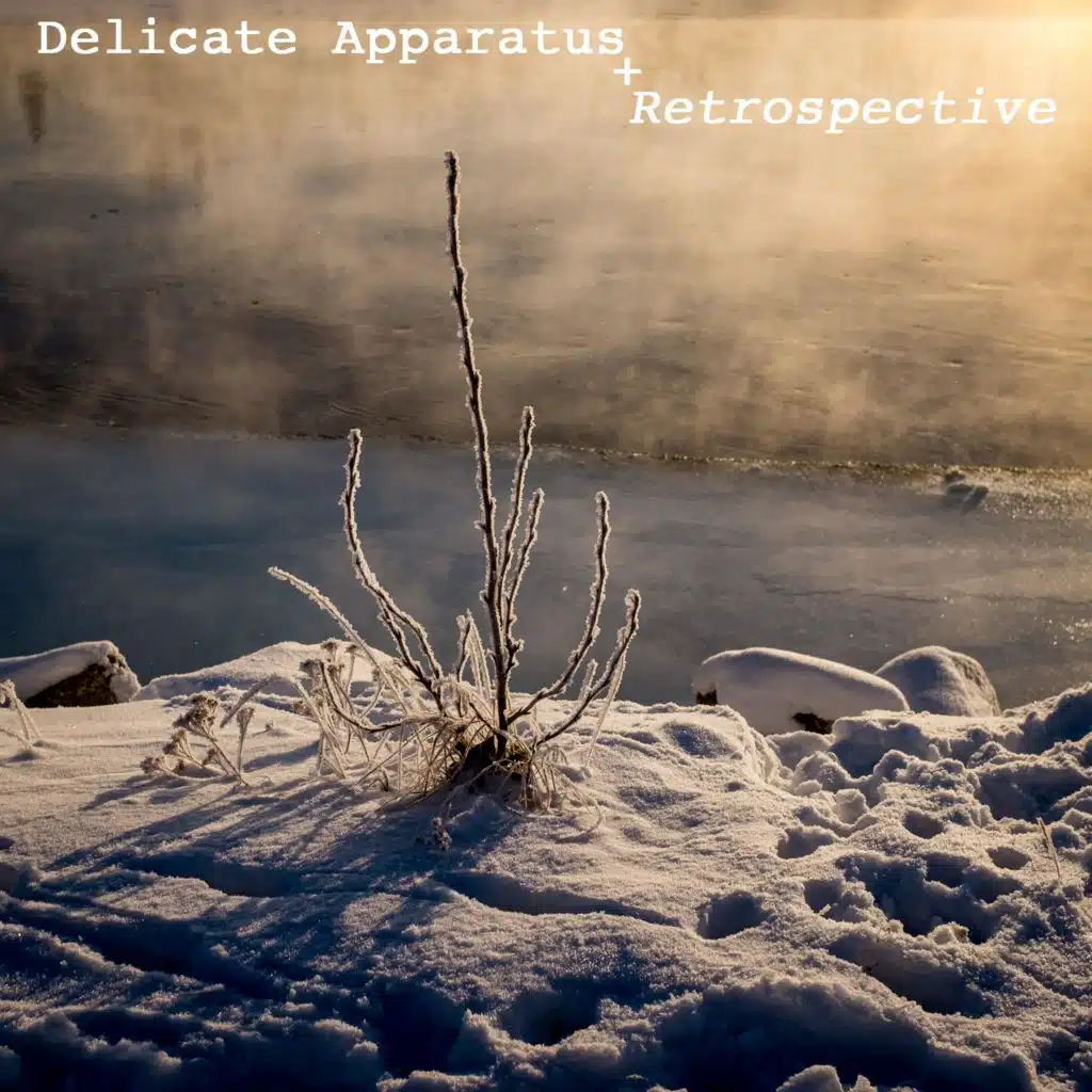 Delicate Apparatus