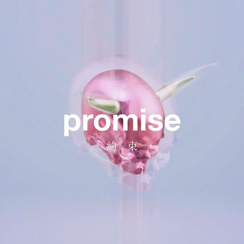 Promise