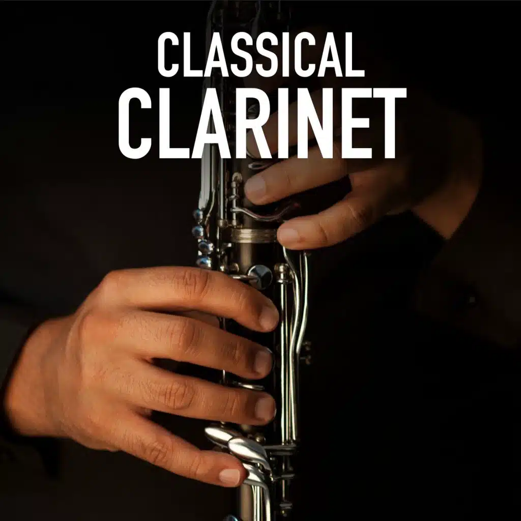Clarinet Sonata No. 2 in E-Flat Major, Op. 120 No. 2: I. Allegro amabile