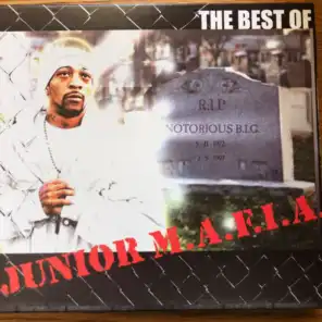 The Best of JUNIOR M.A.F.I.A.