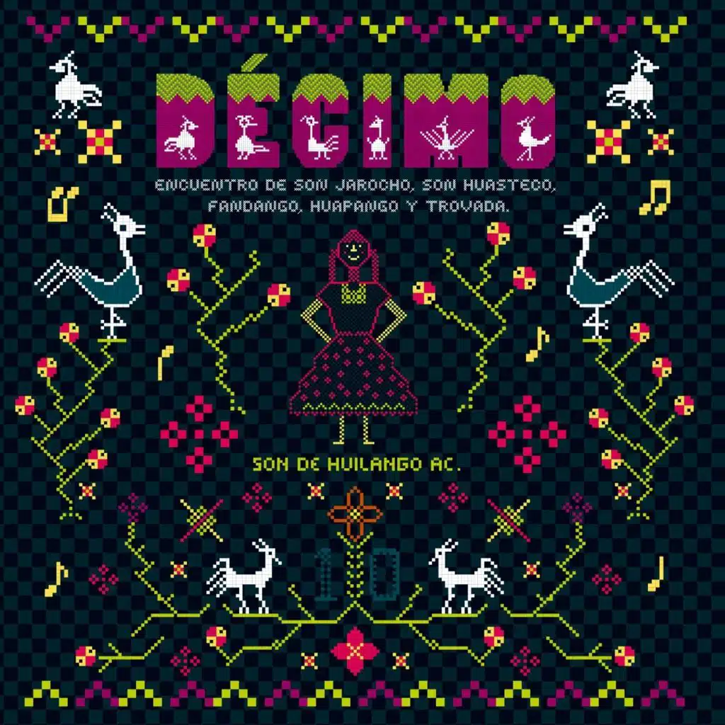 10mo Encuentro de Son Jarocho, Son Huasteco, Fandango, Huapango y Trovada