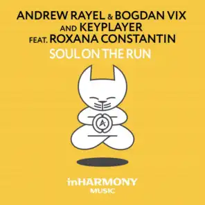 Soul On The Run (Progressive Mix) [feat. Roxana Constantin]