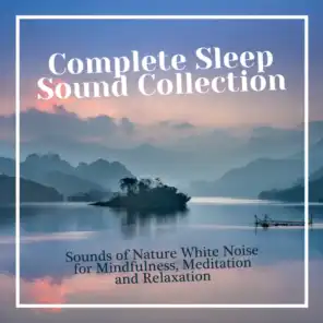 Complete Sleep Sound Collection
