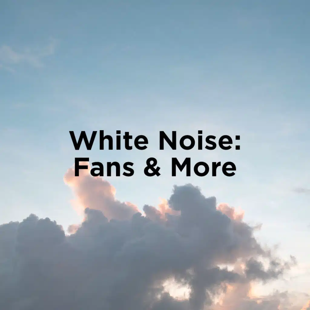 White Noise: Fan & More