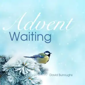 Advent Waiting