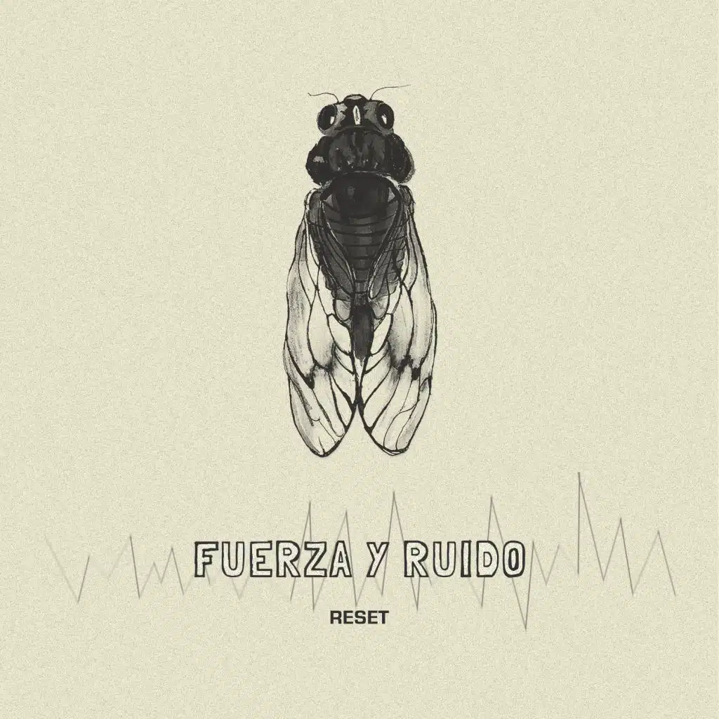 Fuerza y Ruido