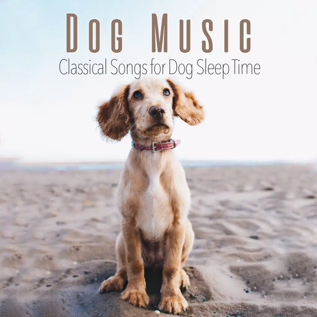 Dog Music: Classical Songs for Dog Sleep Time