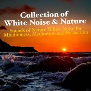 Collection of White Noise & Nature