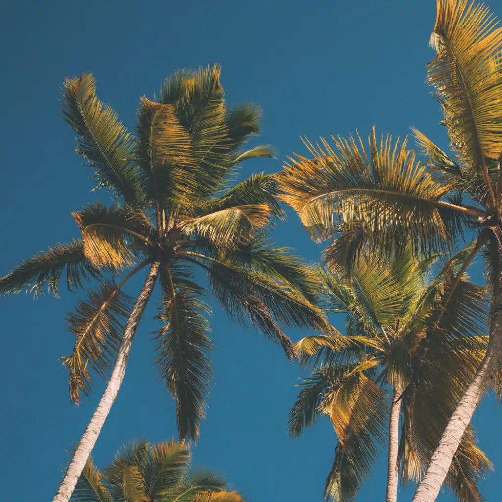 Pierre Oslonn, Piano Covers Club and PianoDreams