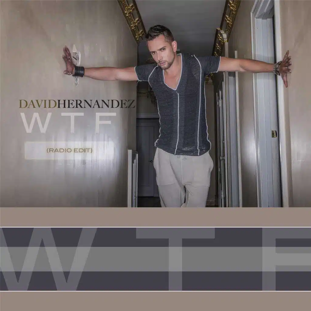 WTF (Radio Edit)