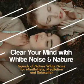 Clear Your Mind with White Noise &amp; Nature