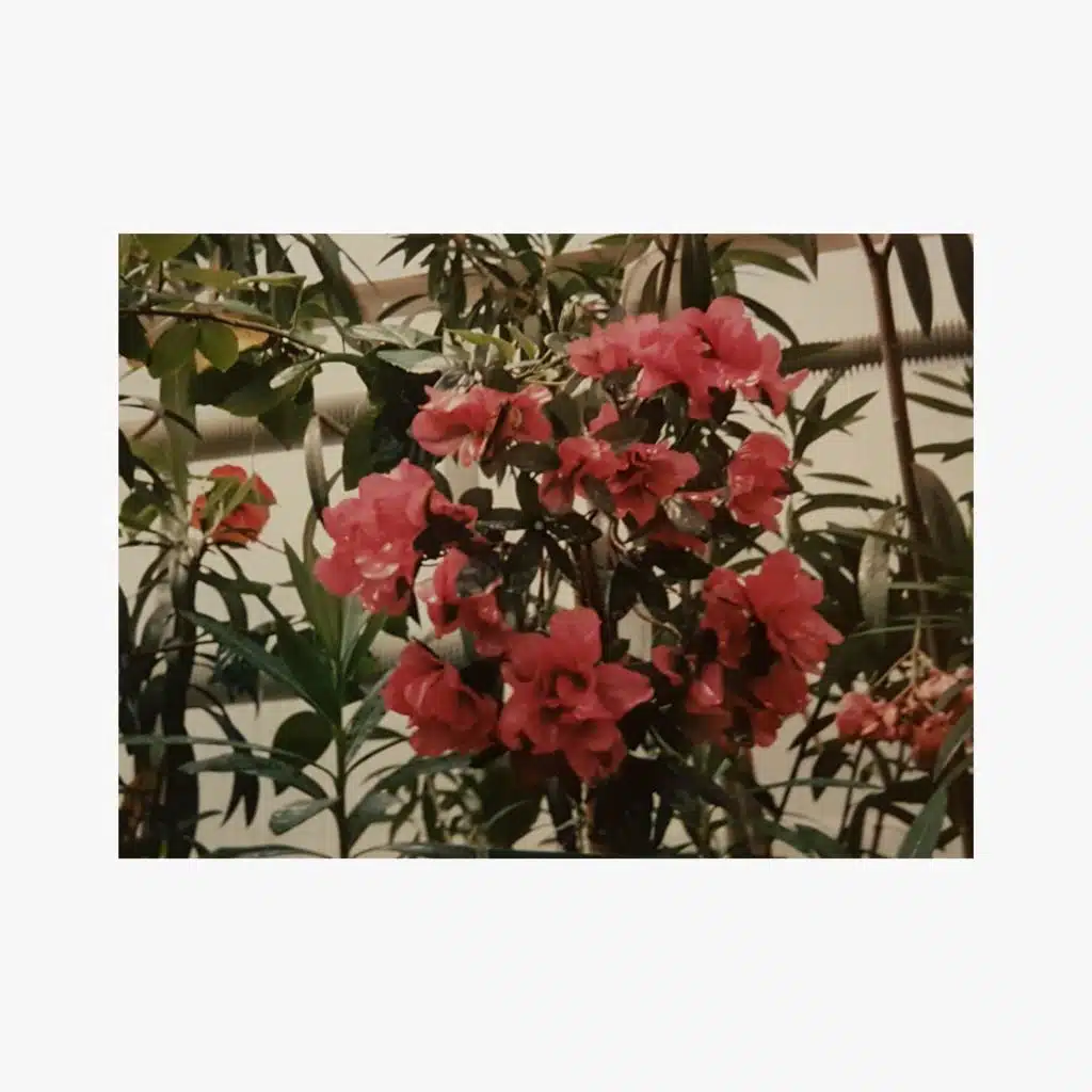 Somebody That Loves Me