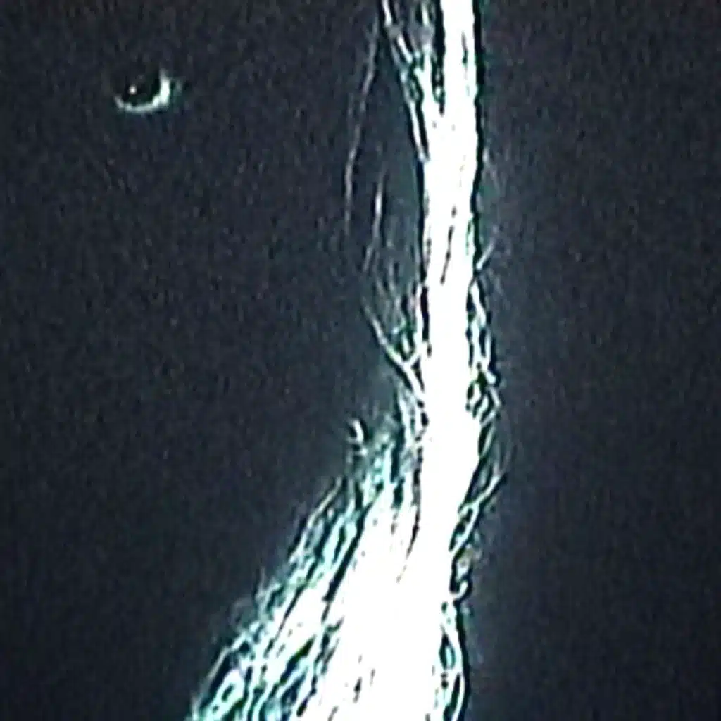 SexualHarassmentInTheWorkPlace