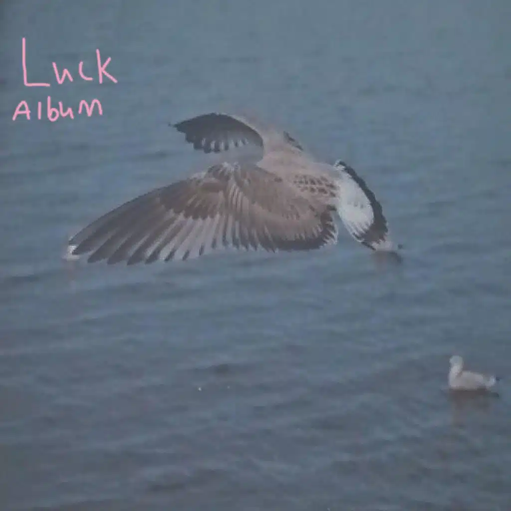 The Luck Album