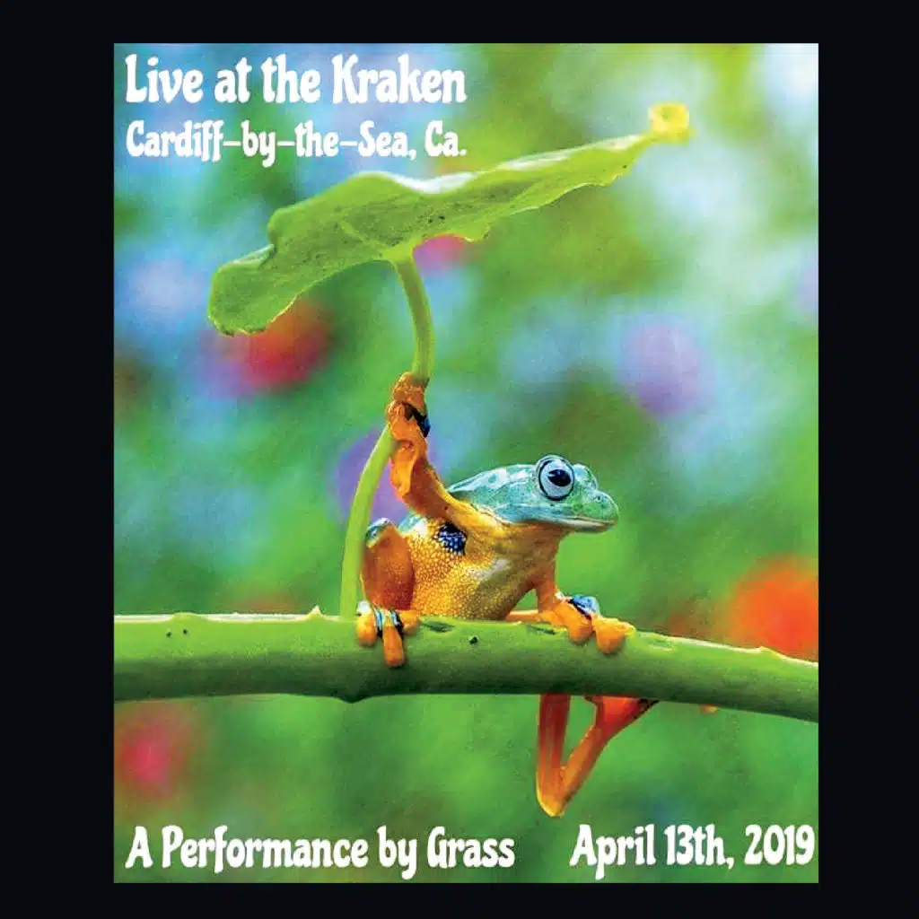 No Thanks into Tweak (Live)