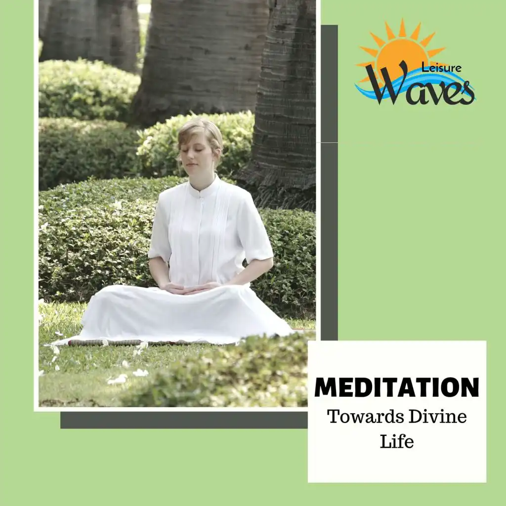 Meditation - Towards Divine Life