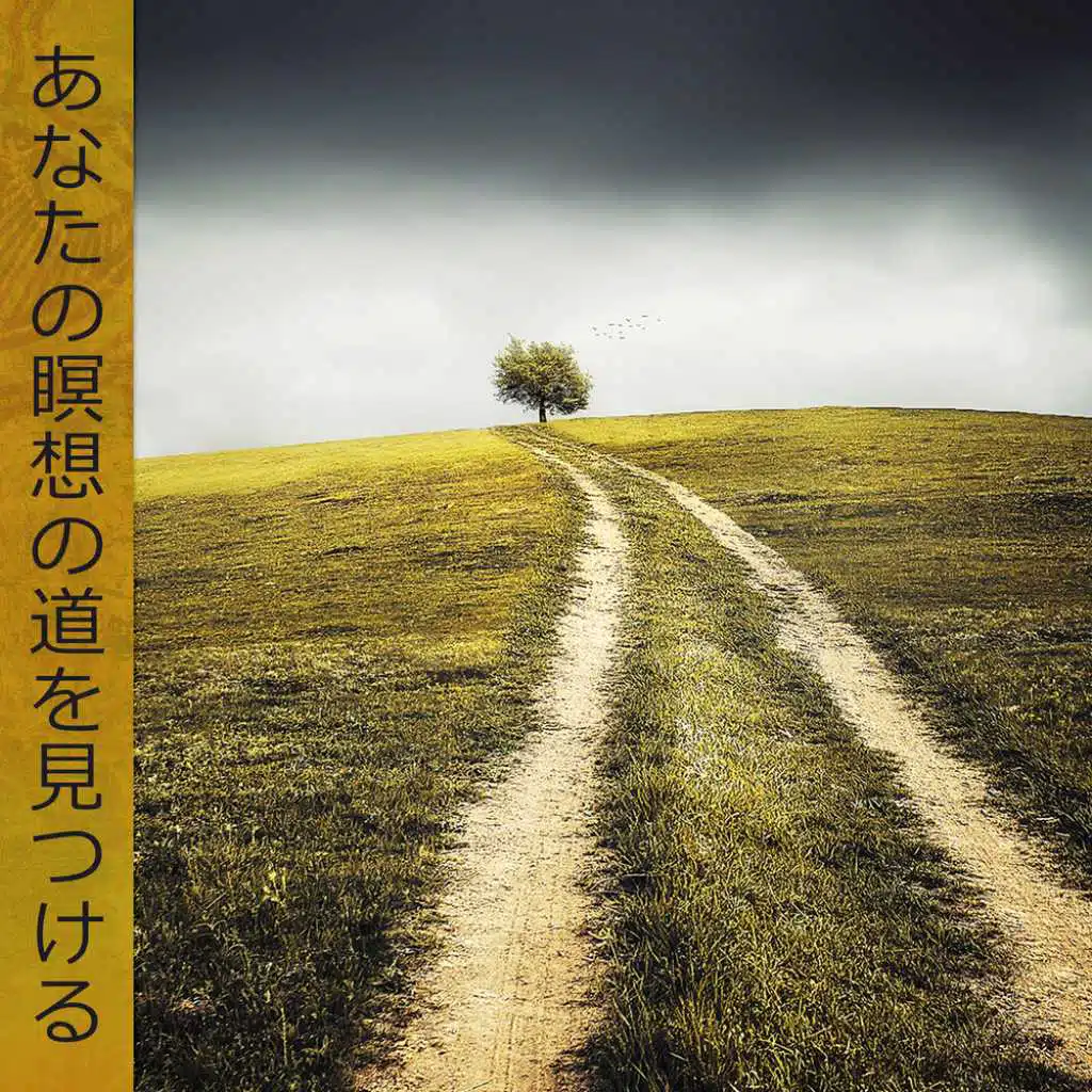 あなたの瞑想の道を見つける