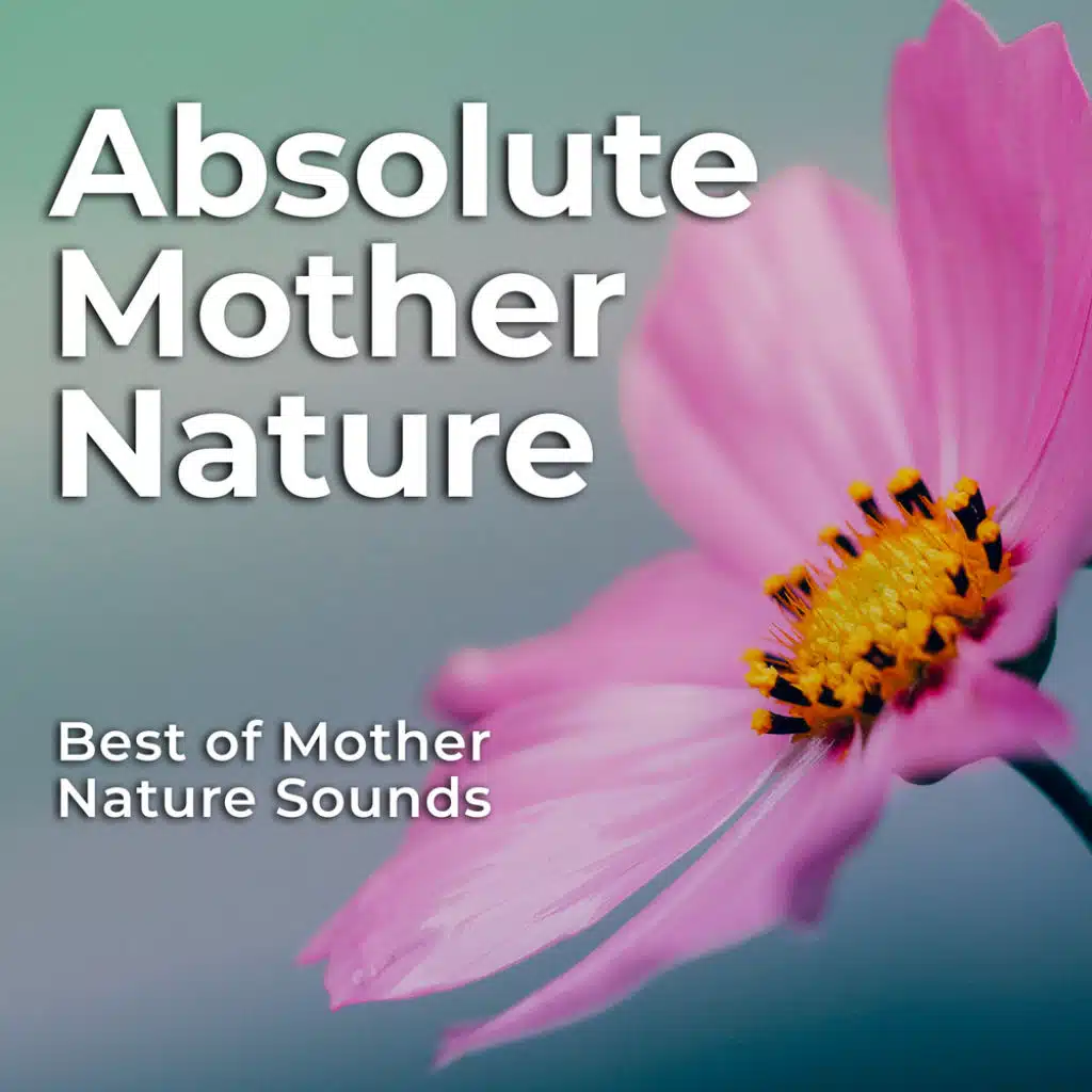 Best of Mother Nature Sounds