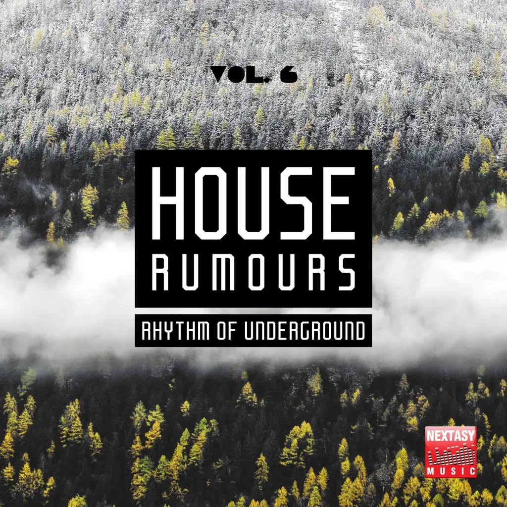 House Rumours, Vol. 6 (Rhythm Of Underground)