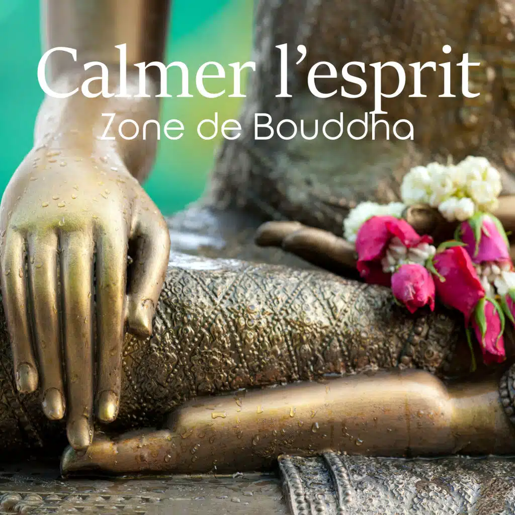 Calmer l’esprit: Zone de Bouddha, Musique de méditation, Jardin japonais, Exercices respiratoires