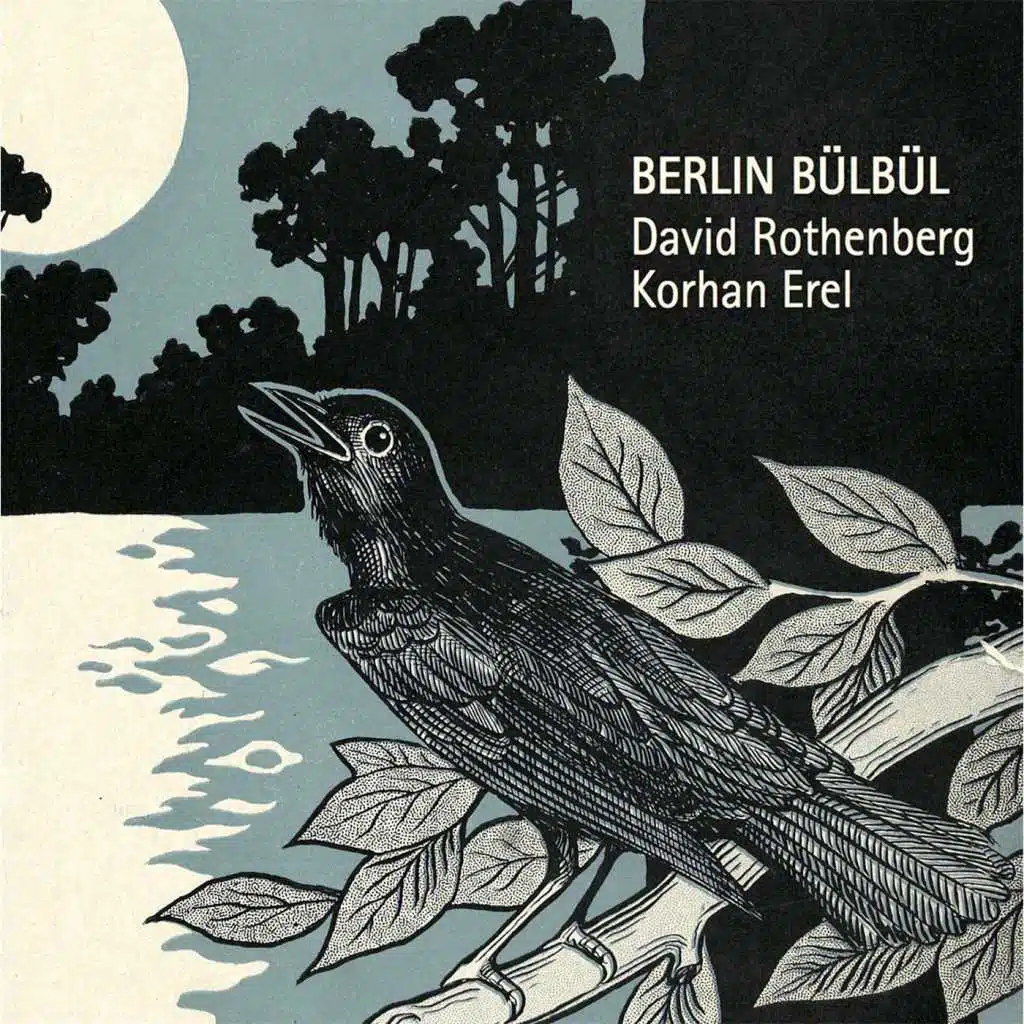 Berlin Bülbül