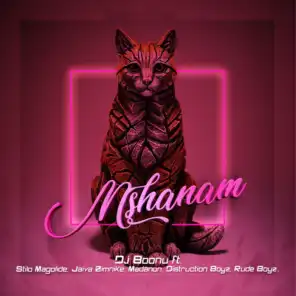 Mshanam (feat. Stilo Magolide, Distruction Boyz, Madanon, Rude Boyz & Jaiva Zimnike)