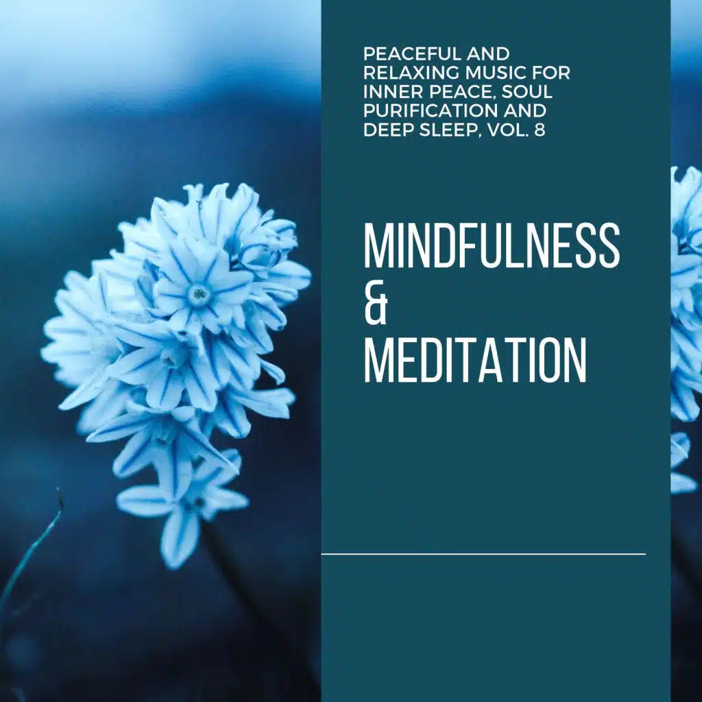 Curing Music for Mindfulness and Bliss, Healing Music for Inner Harmony and Peacefulness, Art of Meditation, Divine Restorative Beats Record, The Healing Remedy & Co