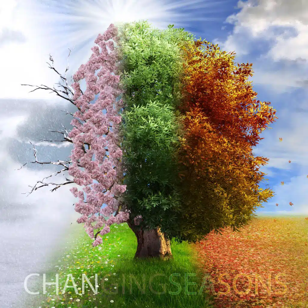 Changing Seasons
