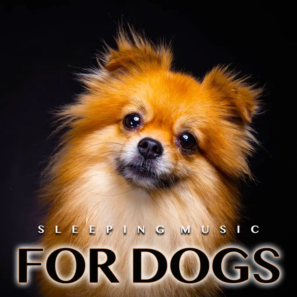 Soothing Music for Dogs