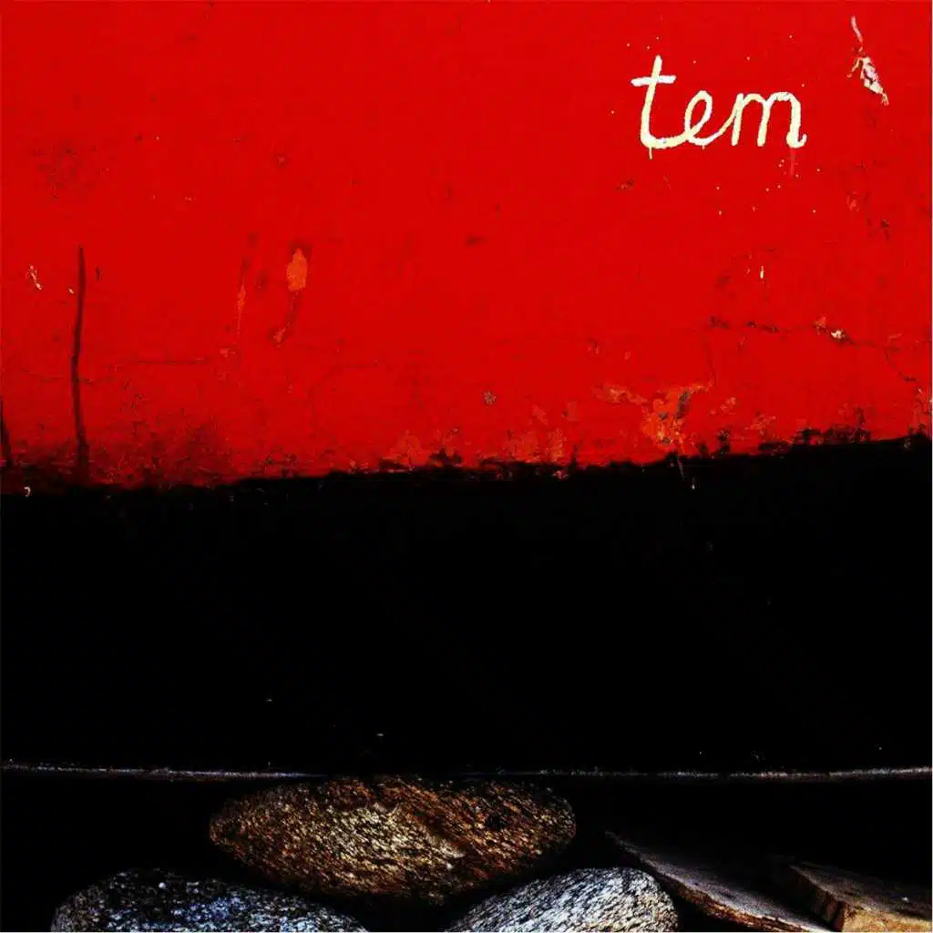 Tem