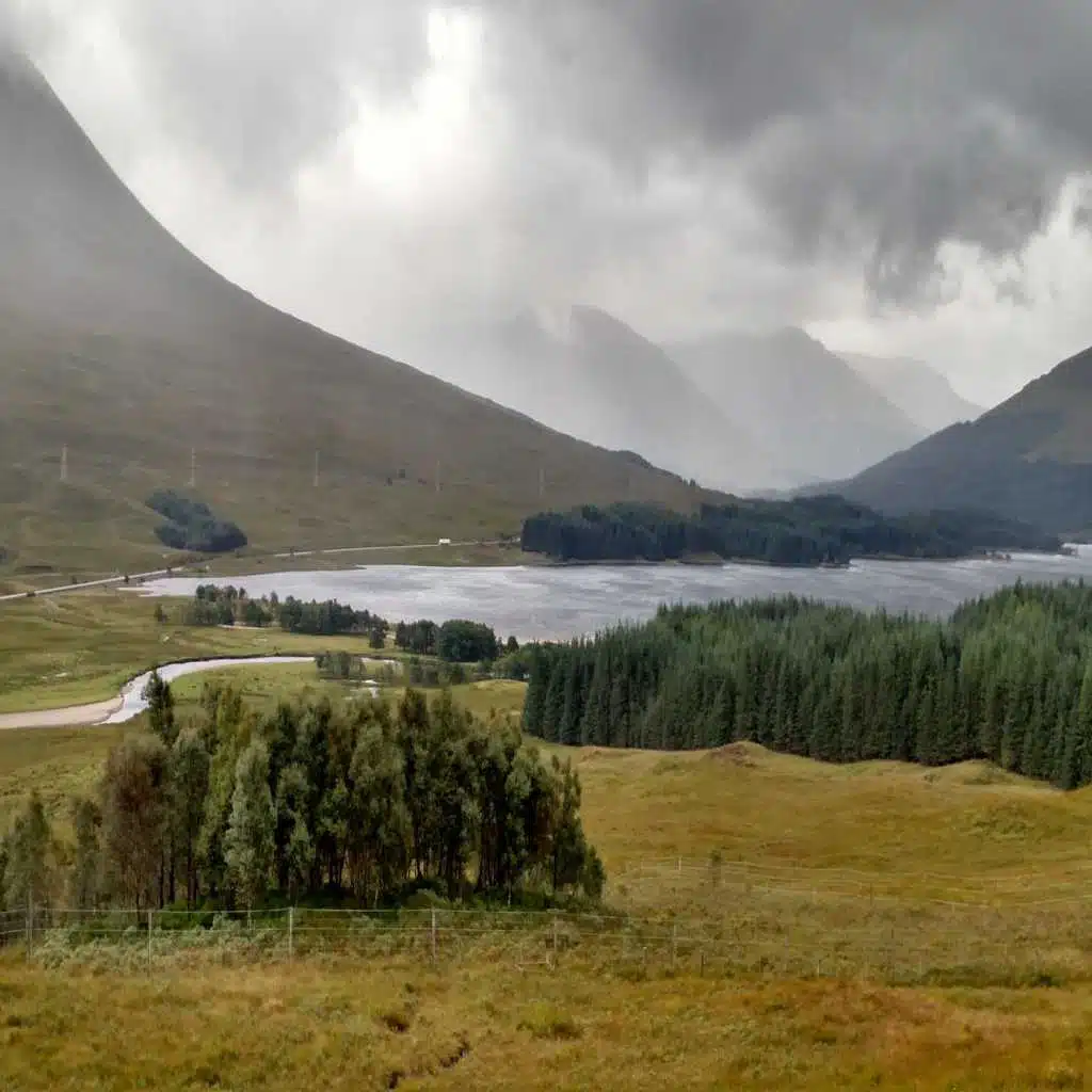 String Quartets of David Solomon