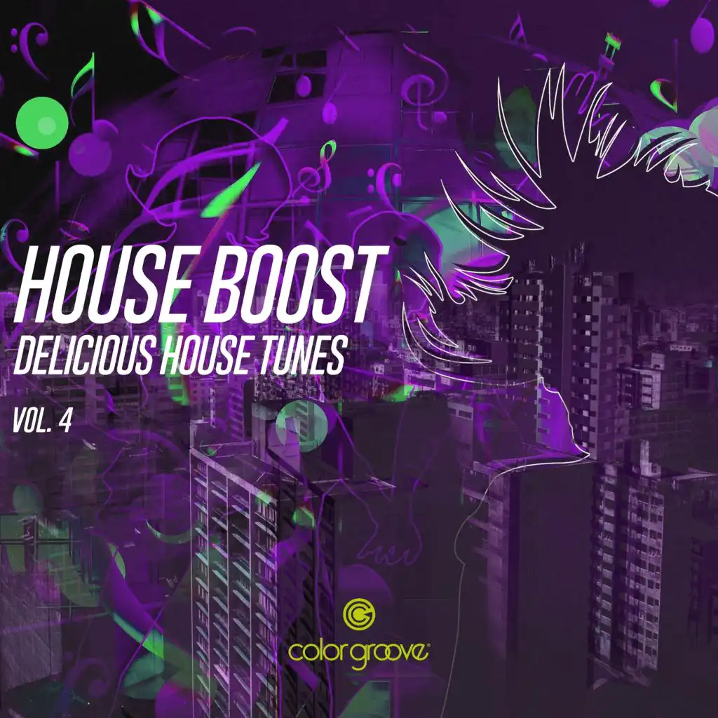 House Boost, Vol. 4 (Delicious House Tunes)