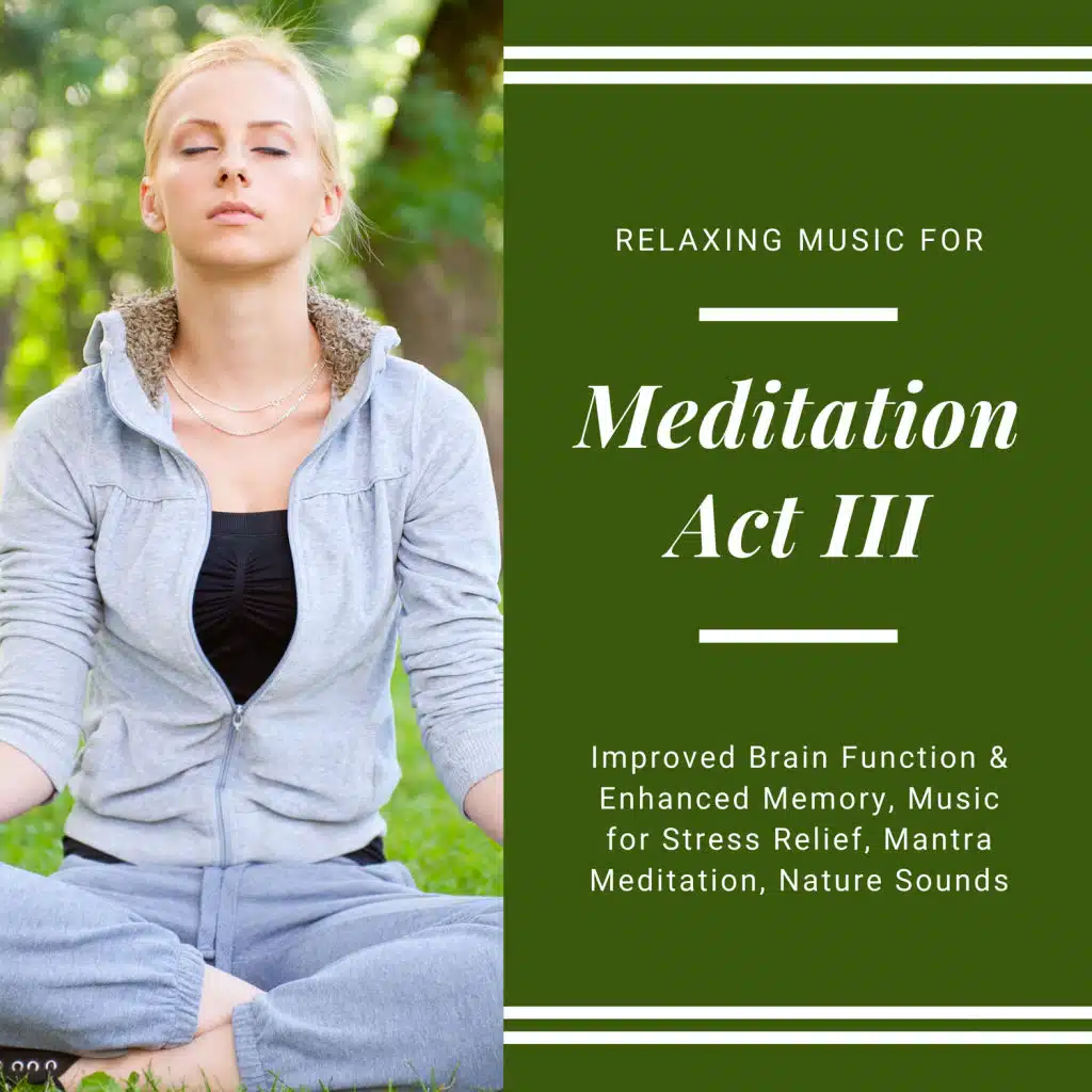 Meditation Act III (Relaxing Music For Improved Brain Function & Enhanced Memory, Music For Stress Relief, Mantra Meditation, Nature Sounds)