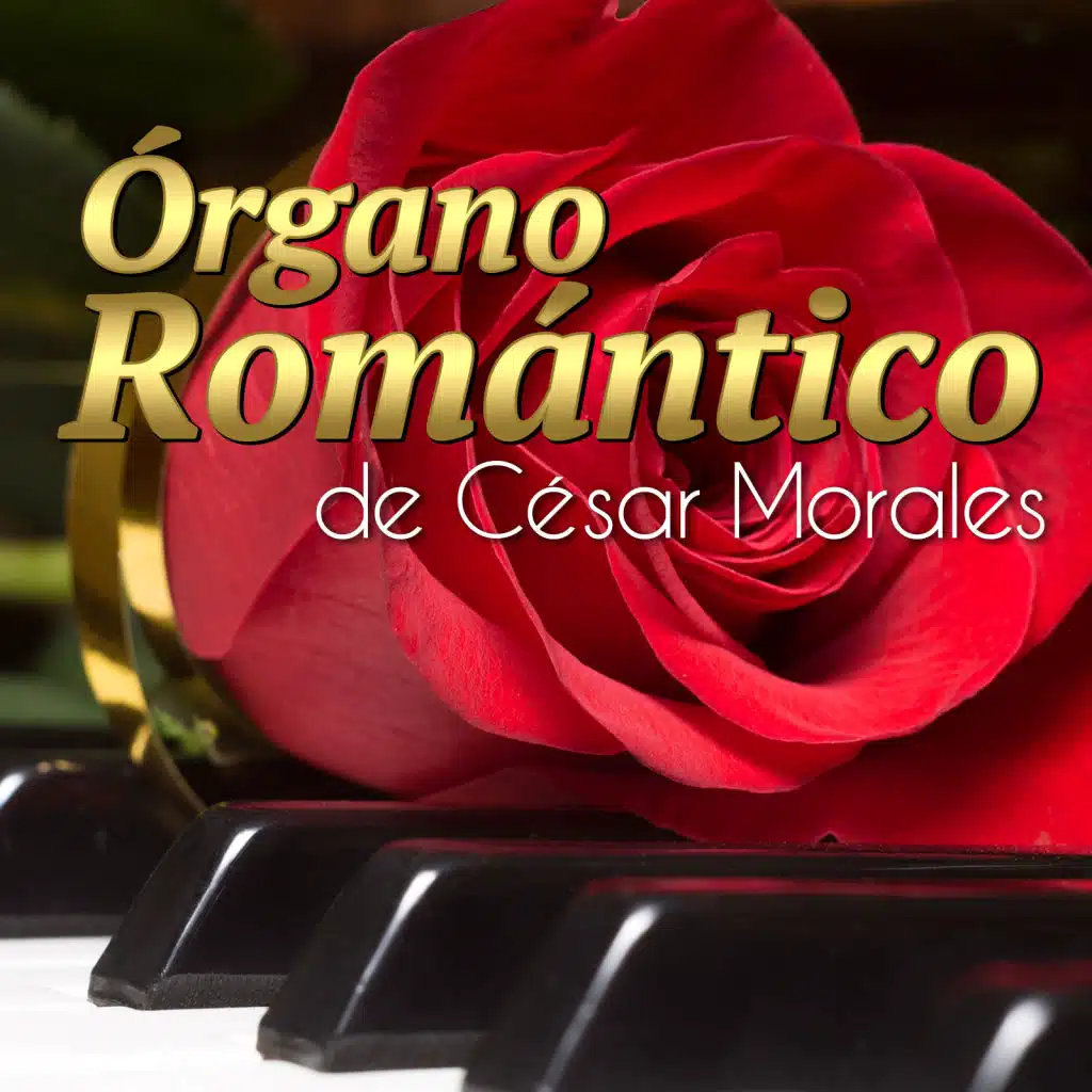 Delilah / Love Me Tonight / Help Your Self