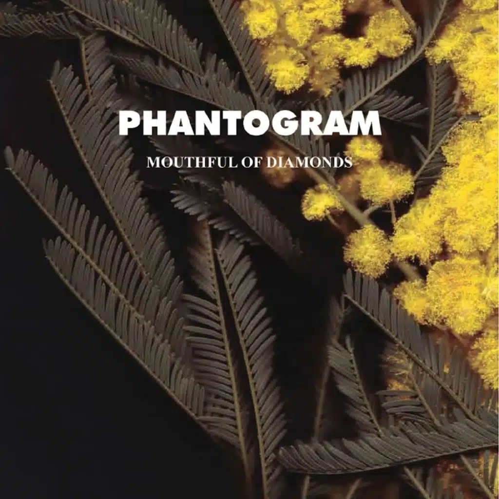 Mouthful of Diamonds