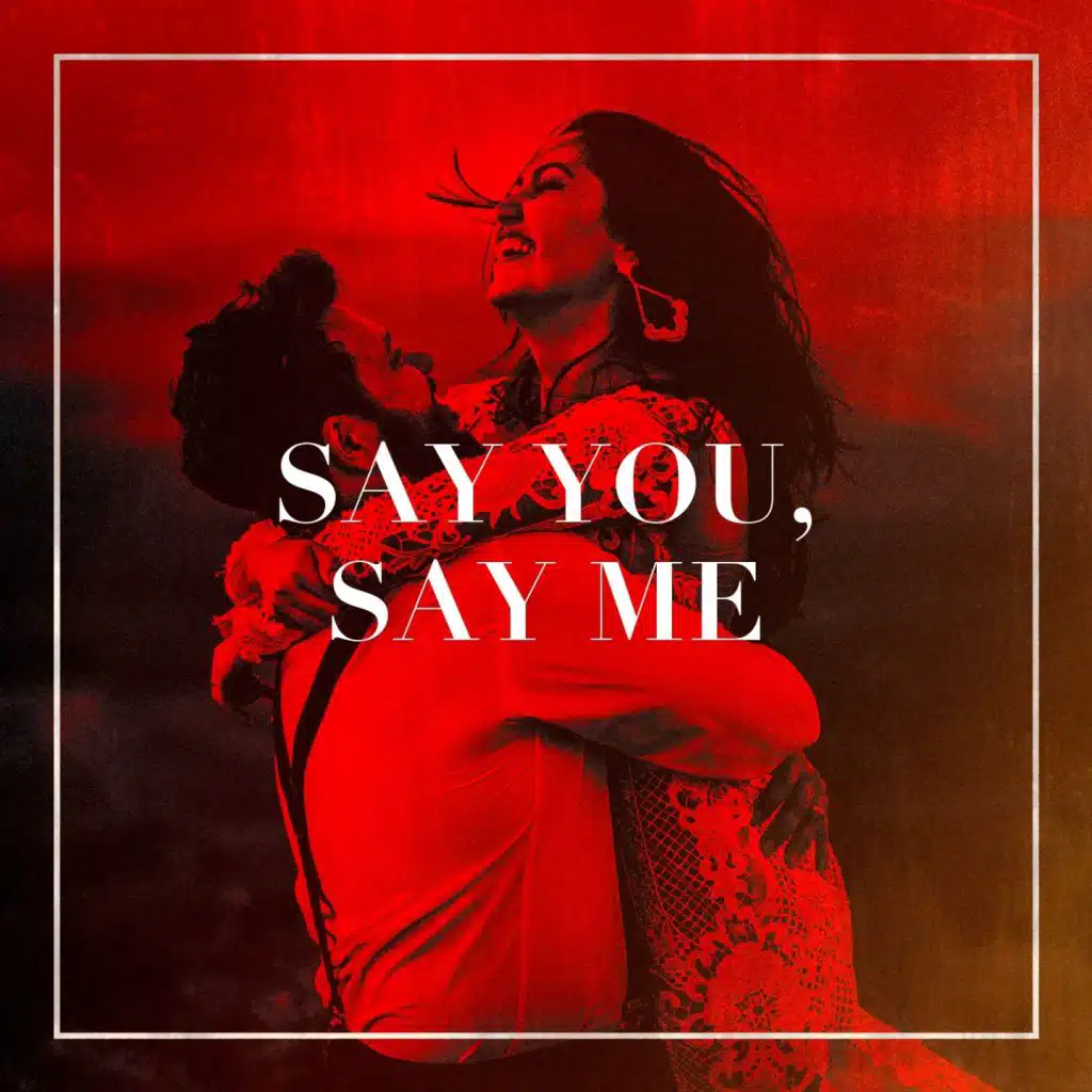 Say You, Say Me